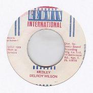 MEDLEY / /DELROY WILSON レコード通販COCOBEAT RECORDS